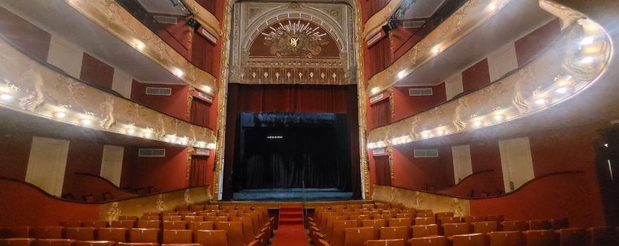 Teatro Miguel Young