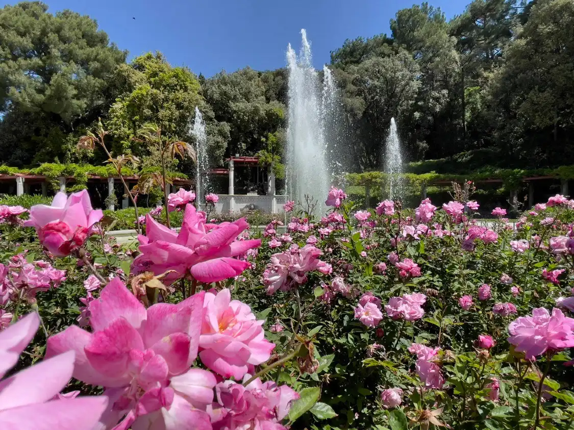 Hotel in zona Parco di Miramare