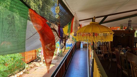 Batchelor Butterfly Farm and Pet Garden