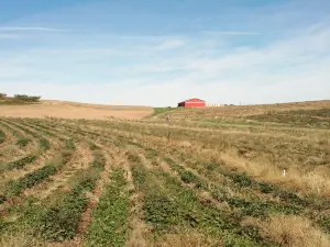 Baugher's Orchards & Farm