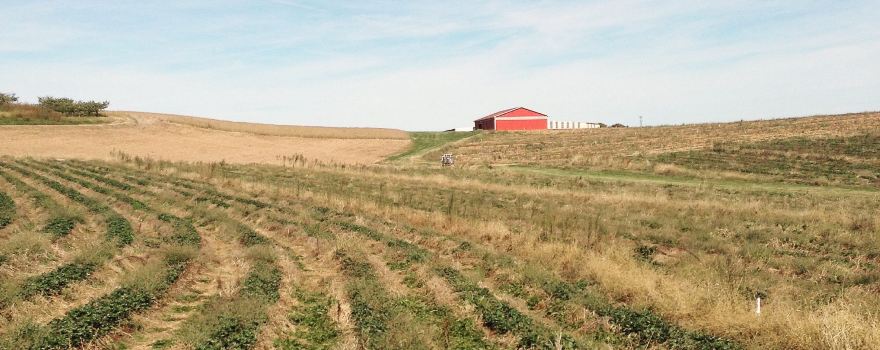 Baugher's Orchards & Farm