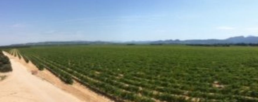 Domaine Le Grand Retour