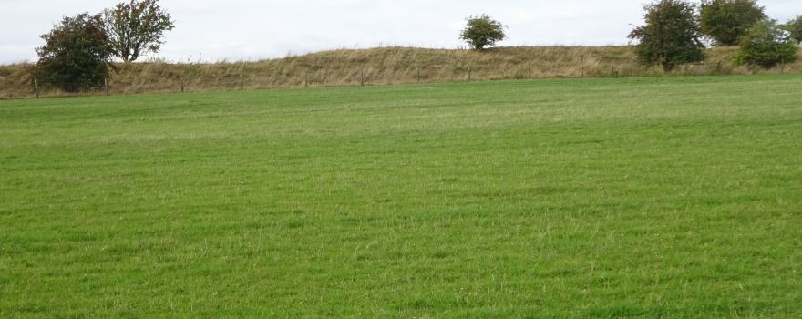 Segsbury Camp