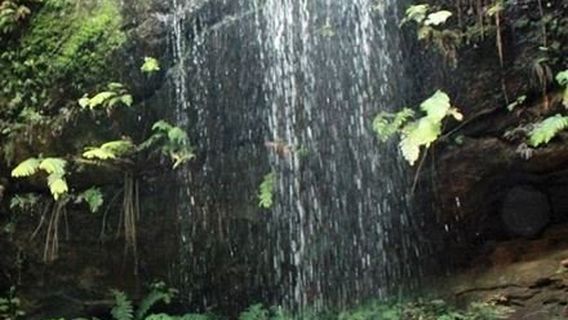 South Lawson Waterfall Circular Walking Track