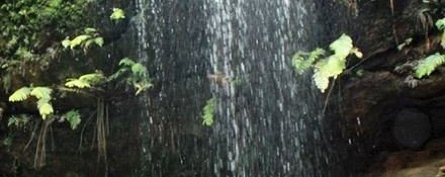 South Lawson Waterfall Circular Walking Track