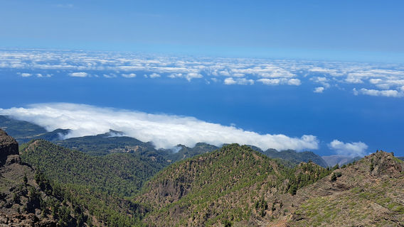La Palma
