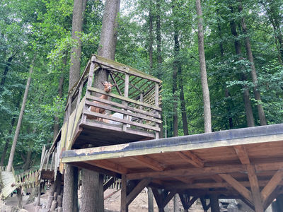 Märchenwald