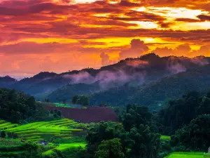 Mae La Noi Royal Project (Ban Dong)