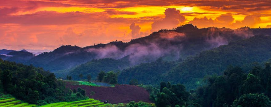 Mae La Noi Royal Project (Ban Dong)