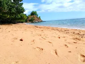 Plage des Tortues