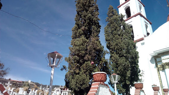 Municipal Garden