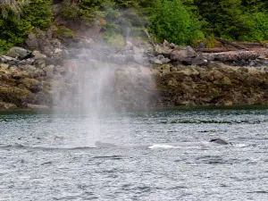 Glacier Wind Charters
