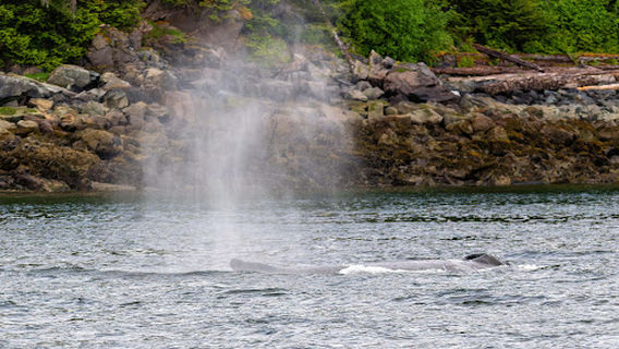 Glacier Wind Charters