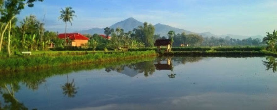 LAPANGAN KARANGPATIHAN - ꦭꦥꦔꦤ꧀ꦏꦫꦁꦥꦠꦶꦲꦤ꧀