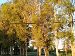 Camping Dr. R. Favaloro