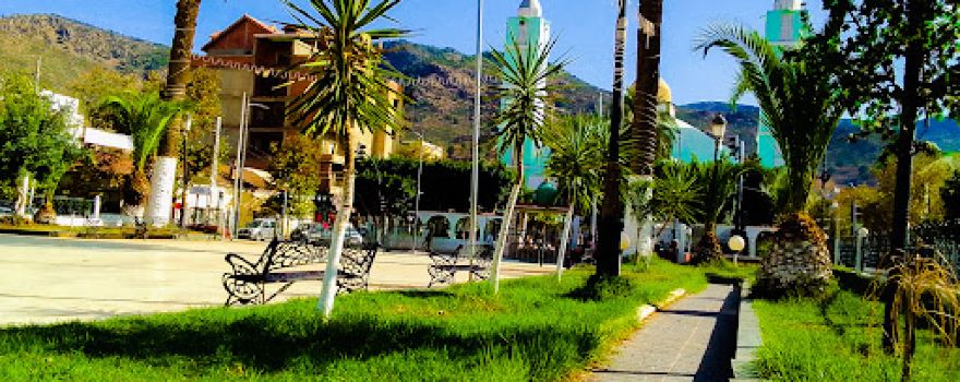 Green Mosque