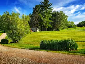 Maple Springs Campground