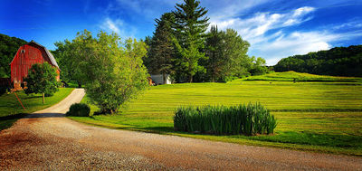 Maple Springs Campground