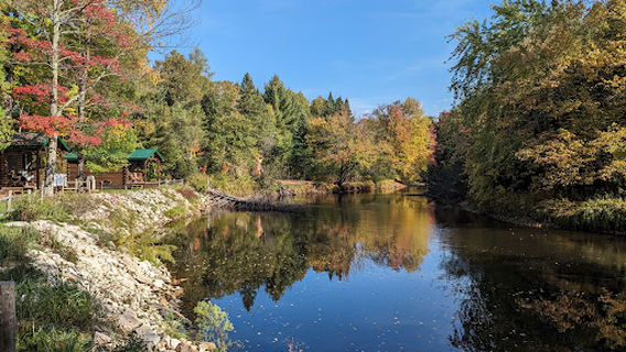 Benny the Beard Fisher