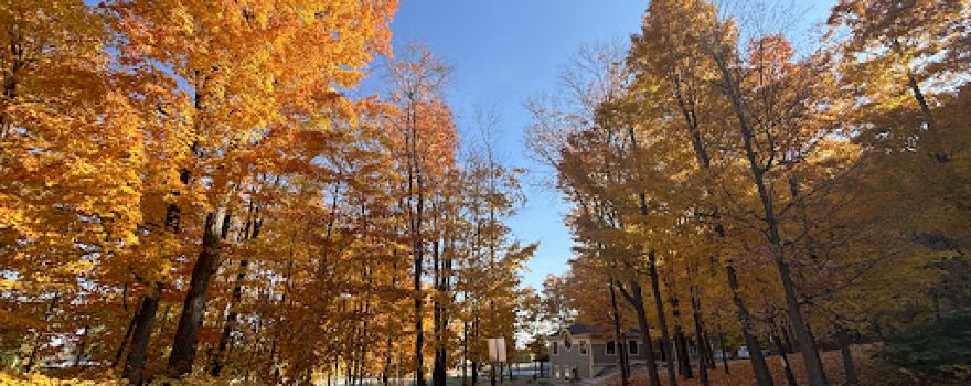 Parc Municipal De Rigaud