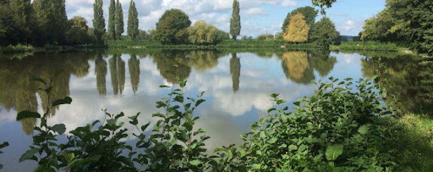 Plan d'eau
