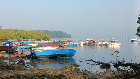 Havelock Island