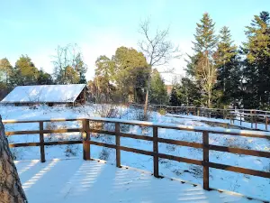 Ulvhälls Hällar (Konstpark)