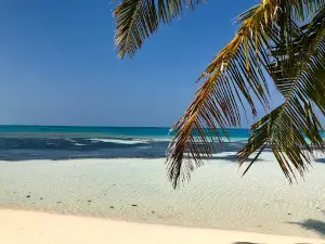 Dhiffushi