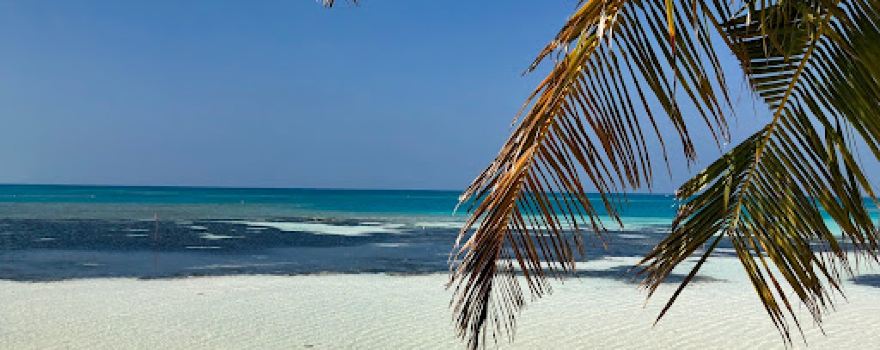 Dhiffushi