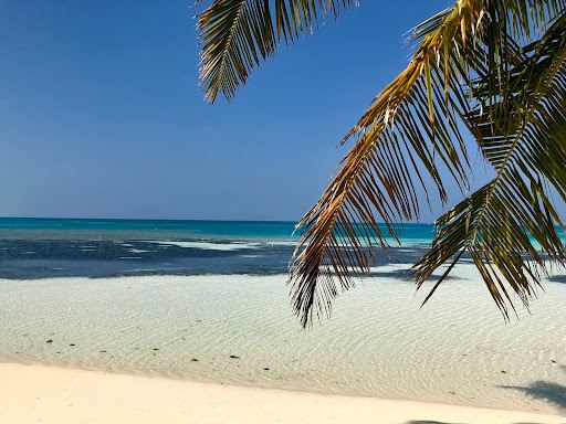 Dhiffushi