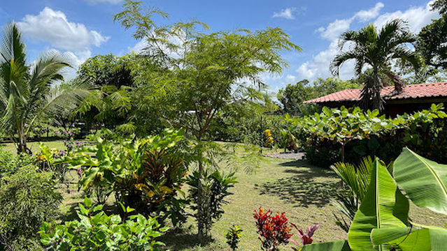 Tortuguero River Campground