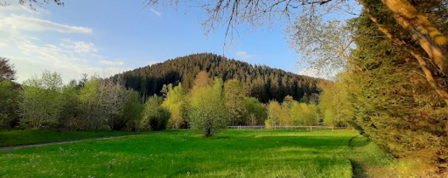 Kurpark