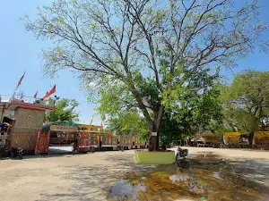 Shree maa sharda mata shaktipeeth Bairagarh Dham