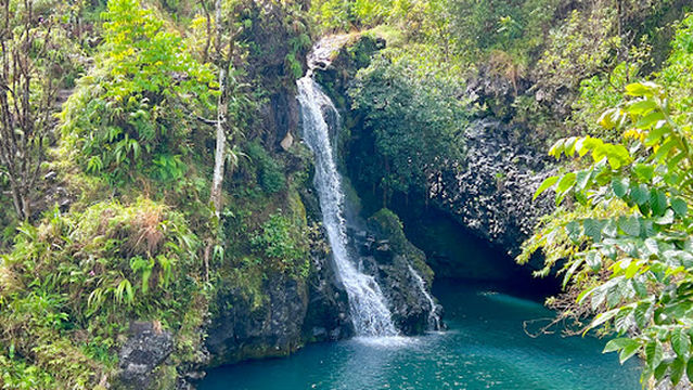 The Magic of Maui Experience