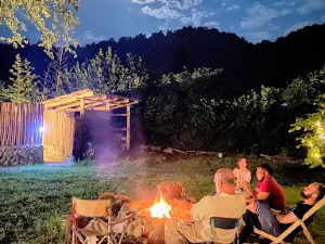 Dumbo Eco Camp