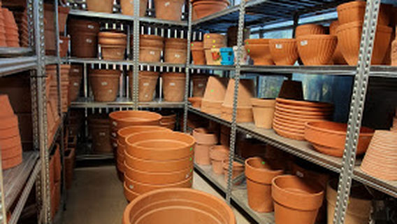 Callus Garden Centre