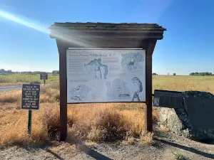 San Luis National Wildlife Refuge - Main Unit