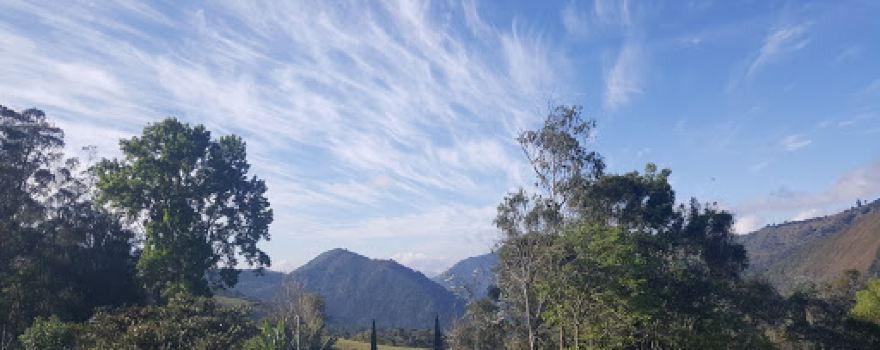 Parque Antonio Jose Del Rincon