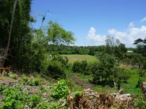 Progress Park