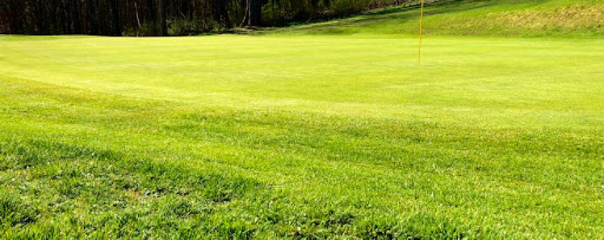 Immergrun Golf Club