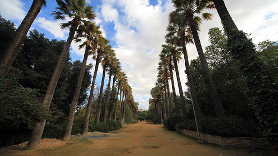 Nicosia Municipal Gardens
