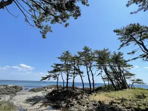弥次郎穴（トトロ岩）