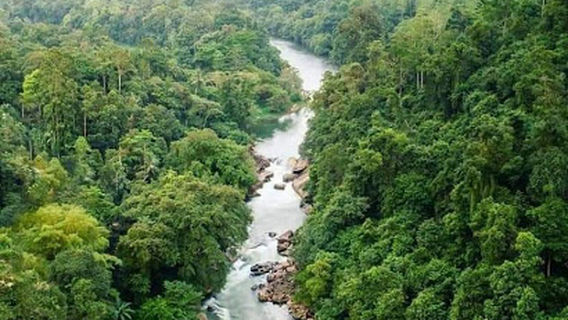 Kitulgala