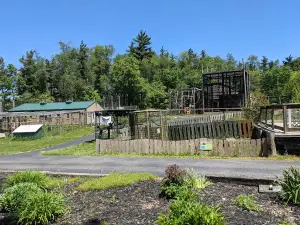 Black Pine Animal Sanctuary
