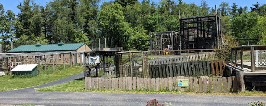 Black Pine Animal Sanctuary