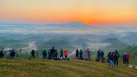 Đồi Chè Móng Ngựa Long Cốc