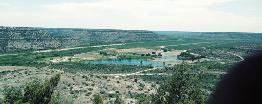Independence Creek Preserve