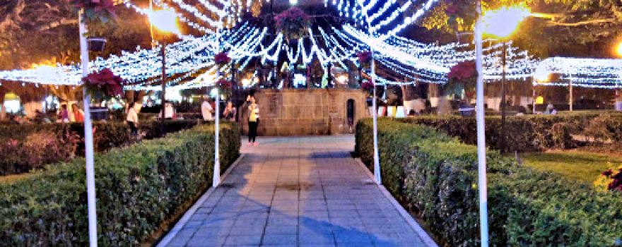 Jardin