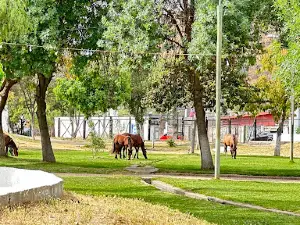 Municipal Park