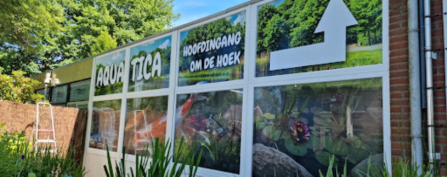 Aquatica Vijver En Tuin